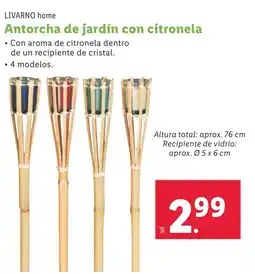 Lidl LIVARNO HOME Antorcha de jardín con citronela oferta