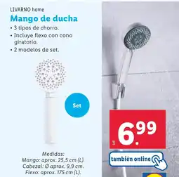 Lidl LIVARNO HOME Mango de ducha oferta