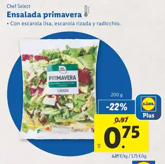 Lidl CHEF SELECT Ensalada primavera oferta