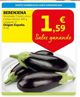 Alcampo Berenjena oferta