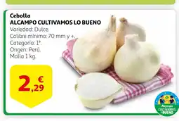 Alcampo Cebolla oferta