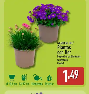 ALDI GARDENLINE Plantas con flor oferta