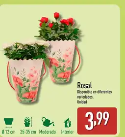 ALDI Rosal oferta