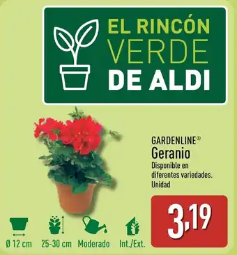 ALDI GARDENLINE Geranio oferta