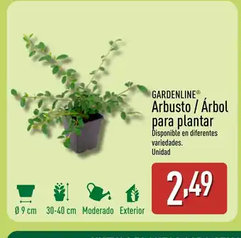 ALDI GARDENLINE Arbusto / Árbol para plantar oferta