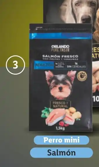 Lidl ORLANDO PURE TASTE Croquetas para perro con salmón / pollo fresco oferta