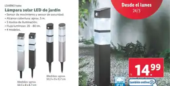 Lidl LIVARNO home Lámpara solar LED de jardín oferta