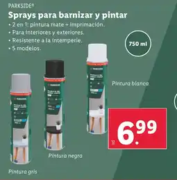 Lidl PARKSIDE Sprays para barnizar y pintar oferta