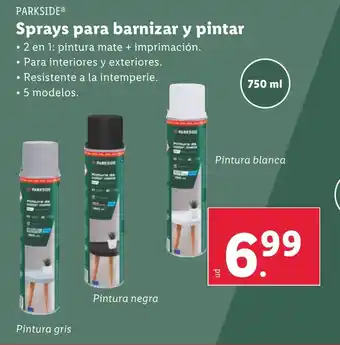 Lidl PARKSIDE Sprays para barnizar y pintar oferta