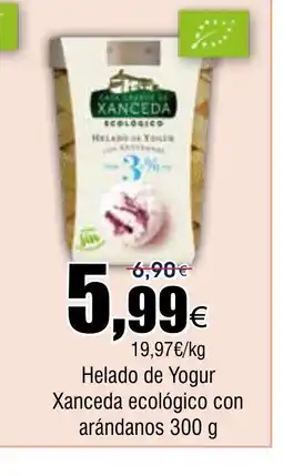 FROIZ Helado de Yogur Xanceda ecológico con arándanos oferta