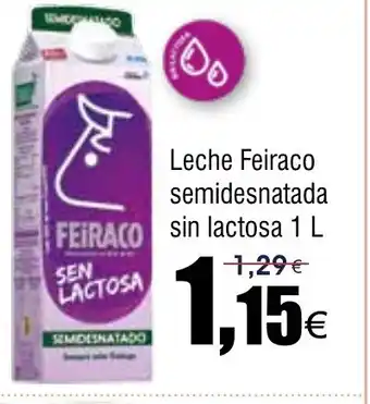 FROIZ Leche Feiraco semidesnatada oferta