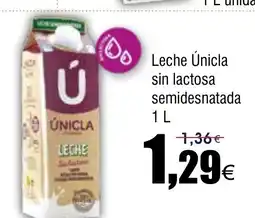 FROIZ Leche Únicla sin lactosa oferta