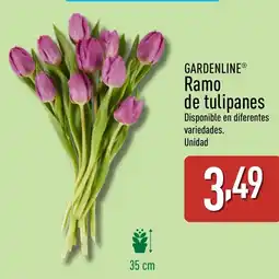 ALDI GARDENLINE Ramo oferta