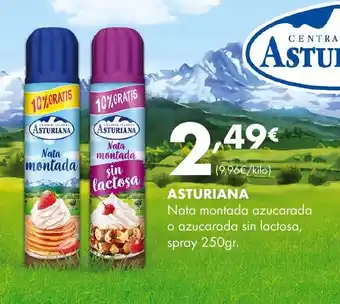 Supermercados Lupa ASTURIANA Nata montada azucarada o azucarada sin lactosa, spray oferta