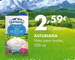 Supermercados Lupa ASTURIANA Nata para montar oferta