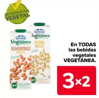 Carrefour VEGETÁNEA En todas las bebidas vegetales oferta