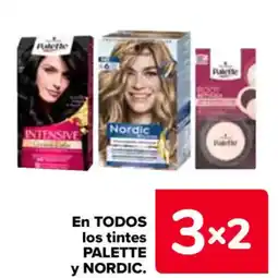 Carrefour PALETTE y NORDIC En todos los tintes oferta