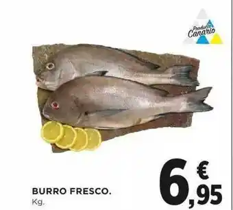 Burro Fresco