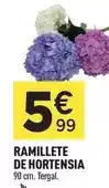 Carrefour Market Origen - entrecot de anojo oferta