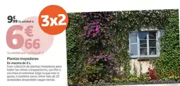 Bauhaus Antracita - mesa 'maja' oferta
