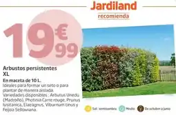Bauhaus Mesa debora oferta