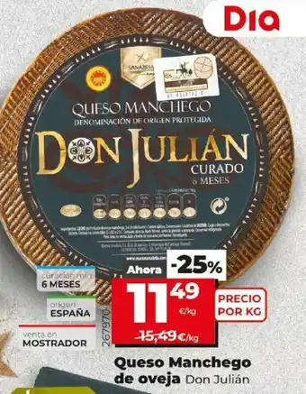 Dia Don Julián Queso Manchego de Oveja oferta