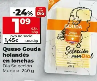Dia Queso Gouda Holandés en Lonchas Dia Selección Mundial 240 g oferta