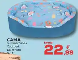 Gadis San miguel - cerveza oferta