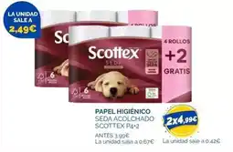 CashDiplo Aire sano - paleta 8 estaciones teruel lonchas oferta