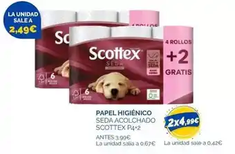 CashDiplo Aire sano - paleta 8 estaciones teruel lonchas oferta