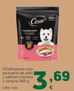 Abordo Preparado de paella de marisco oferta