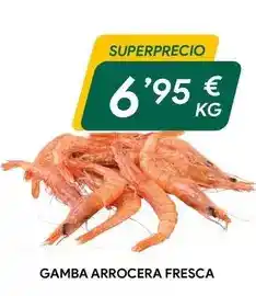 Gadis Central lechera asturiana - nata oferta