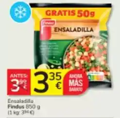 Dialsur Cash & Carry El pastor - queso vaca rulo oferta
