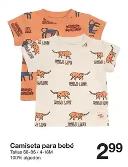 Abordo Gambon grande oferta