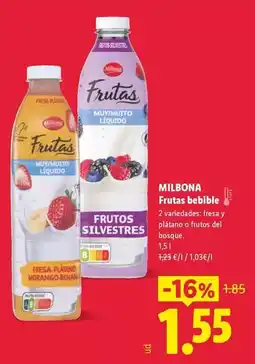 Abordo Gambon grande oferta
