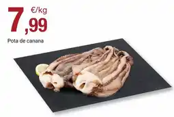 Optimus Malla antihierbas novagarden oferta