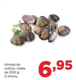 Alimerka Almeja de cultivo oferta