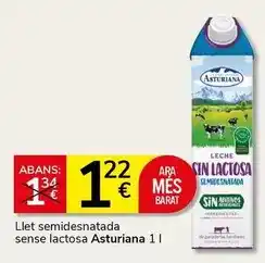Carrefour Hellmann’s - mayonesa oferta