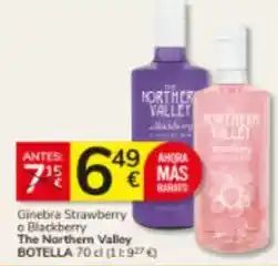 Carrefour Piscina hinchable topub bestway oferta