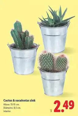 Alcampo Inextenso - pack 7 calcetines oferta