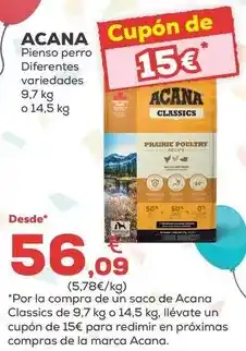 Leroy Merlin Silla lyra con brazos oferta