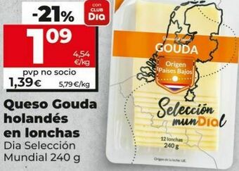 Maxi Dia Queso gouda dia oferta