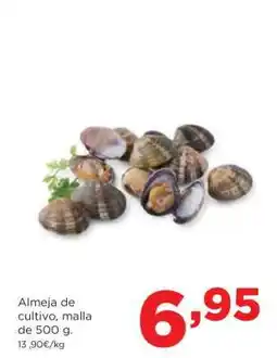 Alimerka Almeja de cultivo, malla de 500 g oferta