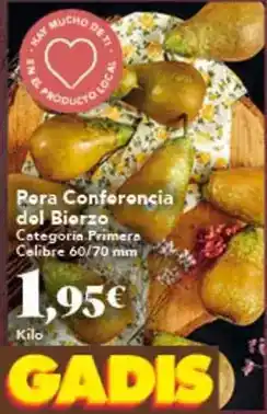 Gadis Pera conferencia del bierzo oferta
