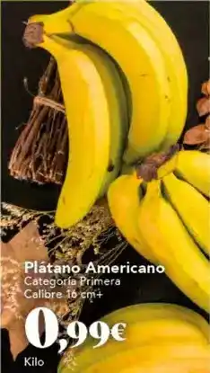 Gadis Platano americano oferta