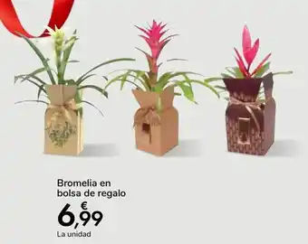 Carrefour Bromelia bolsa de regalo oferta