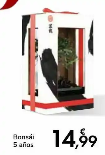 Carrefour Bonsái 4 años oferta