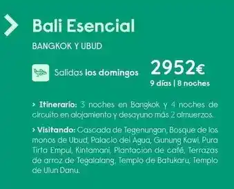 Travelplan Bali esencial oferta