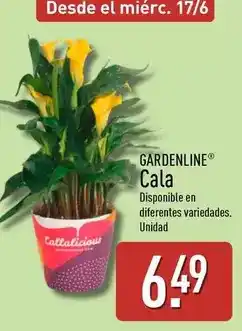 GM Cash & Carry Nestlé - chocolate negro postres oferta