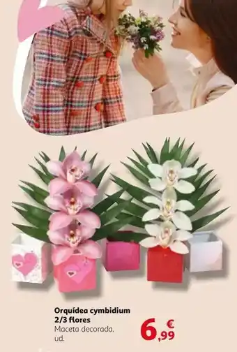 Alcampo Orquídea cymbidium 2/8 flores oferta